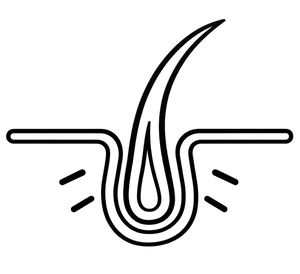 Eingewachsene Härchen
